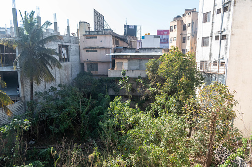 Hassan, Karnataka, India - January 10 2023: An overgrown urban scene showcasing nature reclaiming abandoned structures.
