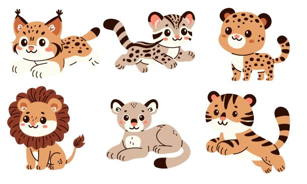 Print Set of flat vector illustrations in children's style. Cute wild cats lion, tiger, leopard, puma, ocelot, lynx. cute cheetah print cartoon stock illustrations