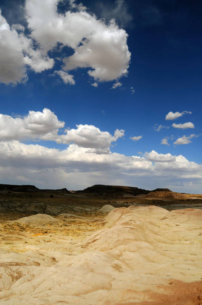 istock Rugged and Desolate Landscape Petrified Forest Arizona 1990002019