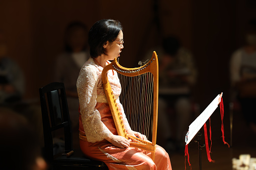 Concert hall in Nippori