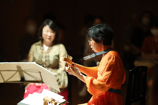 Medieval music concert
Cultures,
Horizontal,
Indoors,
Japan,
Photography,
Stage - Performance Space,
Stage Theater,