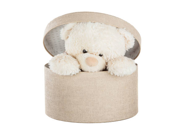 istock Teddy Bear in a gift box isolated on white background 1990022755
