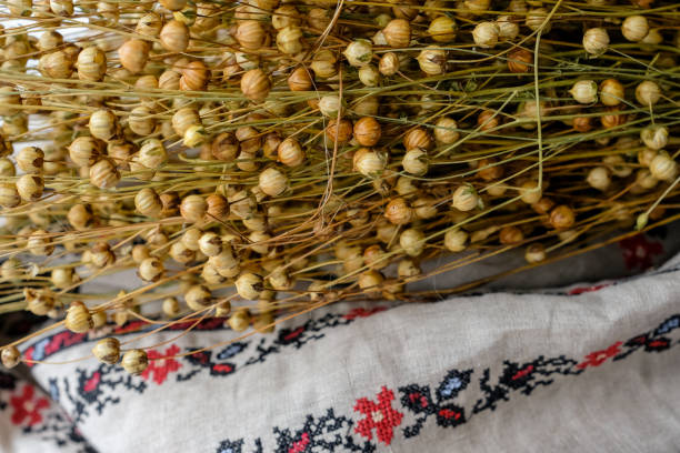 istock Flax seed pods. Embroidered linen clothes. 1990079662
