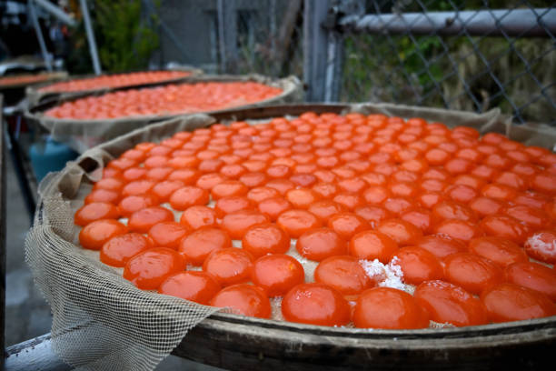 istock Traditional food: Raw and sun-dried salted egg yolk 1990083318
