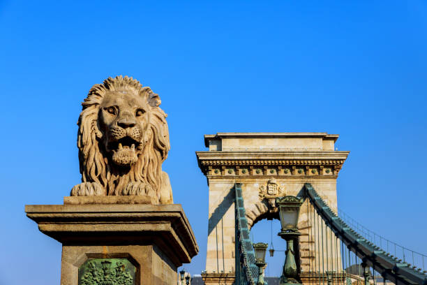 istock Szechenyi Chain Bridge Lion is spans River Danube between western a eastern sides of Budapest, capital a Hungary. 1990097485