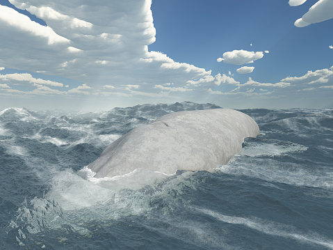 Computer generated 3D illustration with a blue whale in the open sea
