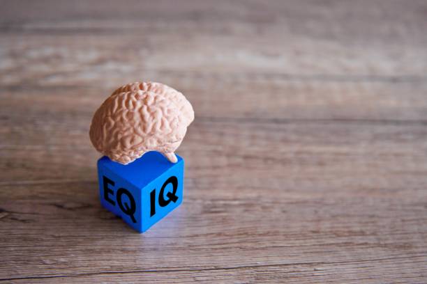 istock Human brain and wooden cube with word IQ and EQ. 1990131767