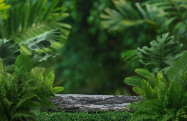 istock Stone tabletop podium floor in outdoors tropical garden forest blurred green leaf plant nature background.Natural product placement pedestal stand display,jungle paradise concept. 1990142579