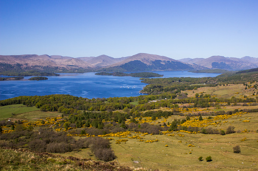 Majestic view from Connic hill over Loch Lomond on a clear, sunny spring day in the Trossach National Park in the Scottish Highlands. Loch Lomond is the largest of all the Scottish lochs and is often considered to form the boundary between the Scottish Highlands and Lowlands.