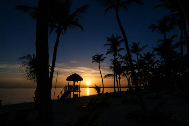 istock Tropical beach at sunset and palms on shore 1990200061
