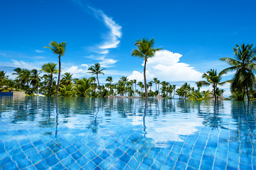 Picturesque view of green palms near swimming pool with reflection in transparent blue water along with white clouds in blue sky