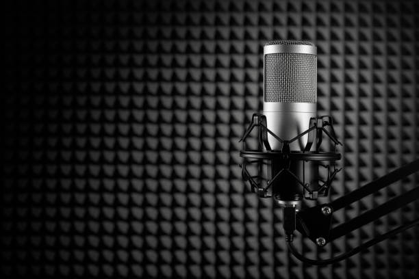 istock Professional condenser microphone on the black noise cancelling wall. Recording studio. 1990228449