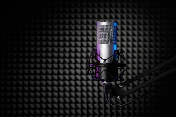istock Professional condenser microphone in the sound recording studio with soundproof wall panel. 1990228452