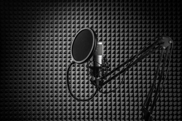 istock Professional condenser microphone on the stand. Recording studio with noise cancelling wall. 1990228955