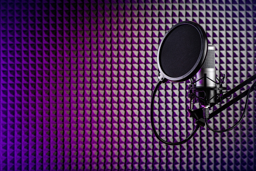 Professional condenser microphone on the stand. Recording studio with acoustical wall panel.