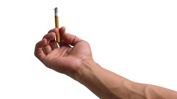 istock Hand holding a clove cigarette isolated on a white background 1990228969