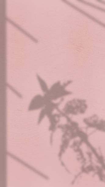 istock Abstract Background with Spotlight Effect and Tropical Leaves Shadow. Leaves Shadows Cast on an Aesthetic Wall Background 1990278522