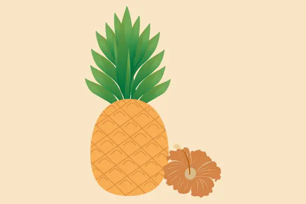 Vector illustration of Pineapple exotic fruit with hibiscus flower on a pastel background. Summer tropical natural fruits for a healthy lifestyle. Vector illustration.
