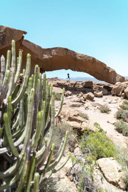pont de cactus rock dans le désert - mt lemmon photos et images de collection