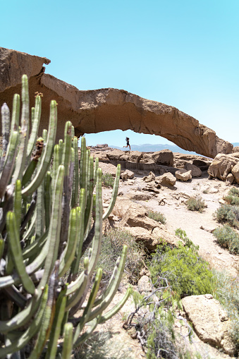 cactus rock bridge in the desert