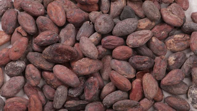 cacao beans background top view dry