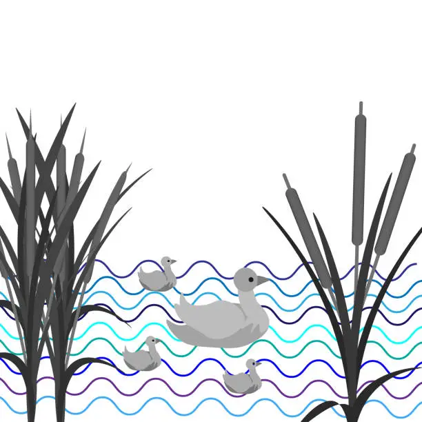 Vector illustration of lake waves, reeds and a mother duck swims with ducklings