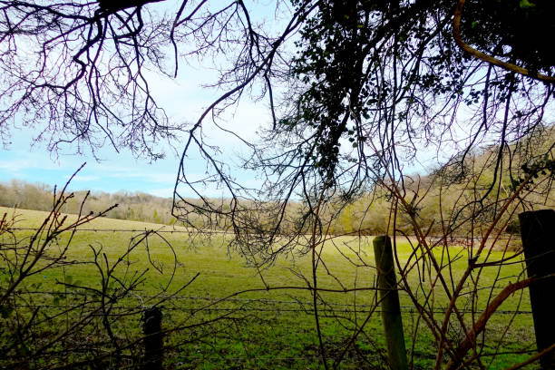 Fenced off Field in England Countryside