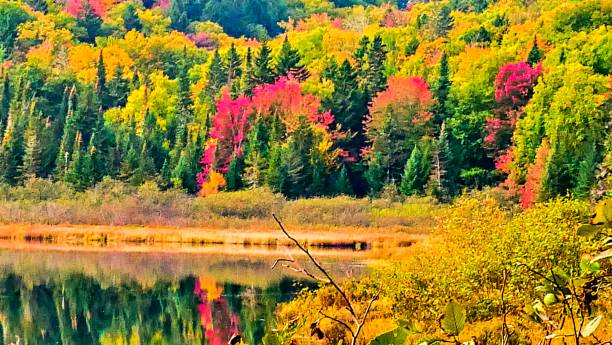 istock Autumn landscape in the Laurentian mountains 1990366401