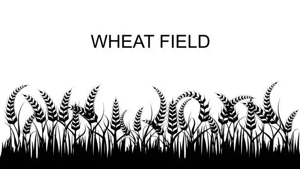 Vector illustration of Wheat field vector set