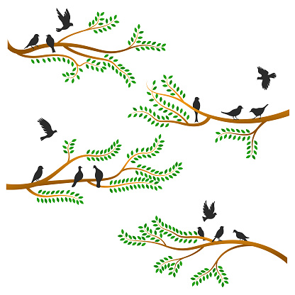 Vector set of birds at trees