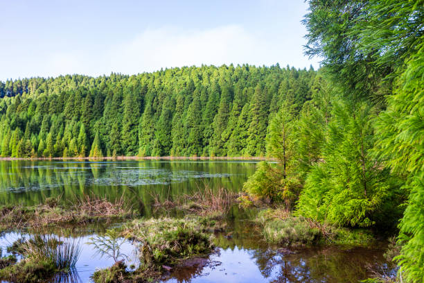 Lake canary  in the island of São Miguel in the Azores - Portugal stock photo