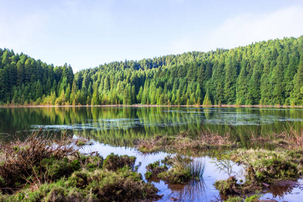 Lake canary  in the island of São Miguel in the Azores - Portugal stock photo