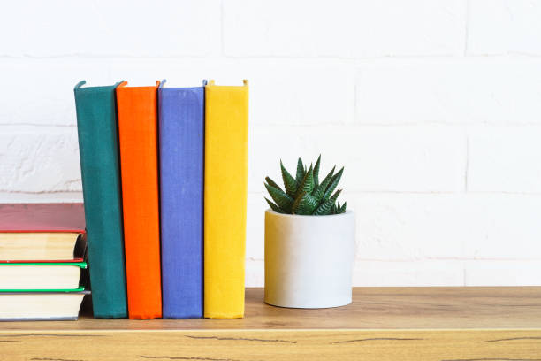 istock Bookshelf with colored books and green plant 1990409825