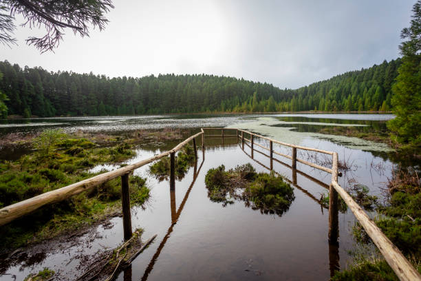 Lake canary  in the island of São Miguel in the Azores - Portugal stock photo