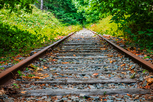 abandoned railroad track
