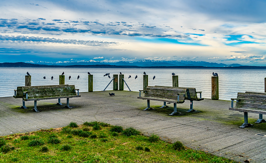 A view of the Olympic Mountain Range across the Puget Sound.. Photo taken in West Seattle, Washington.