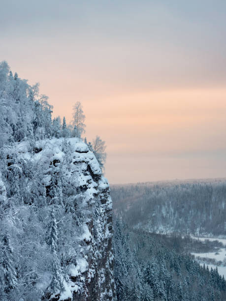 Snow forest on the rocks. Amazing winter snow-covered mountain trees on the cliff, a soft pink sunset. Beautiful harsh nature of the north, the trees in the snow. Vertical view.
