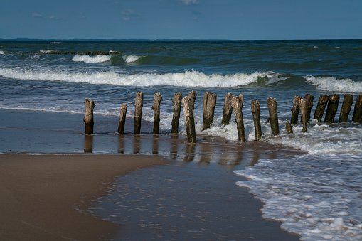 View of the Baltic Sea and wooden breakwaters on the Curonian Spit beach on a sunny summer day, Kaliningrad region, Russia