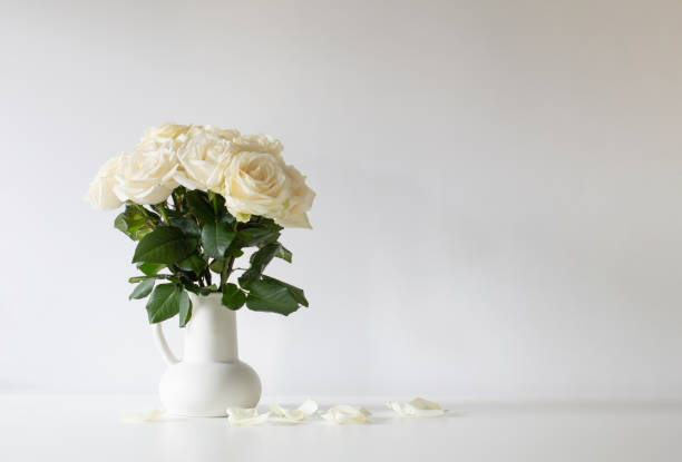 istock bouquet of white roses in jug on white background 1990510834