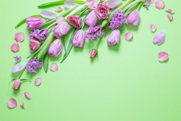 istock spring flowers on green paper background 1990510843