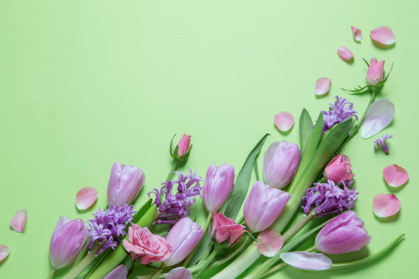 istock spring flowers on green paper background 1990510846
