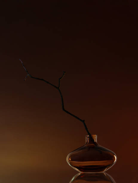 istock black branch in glass modern vase on dark background 1990510855