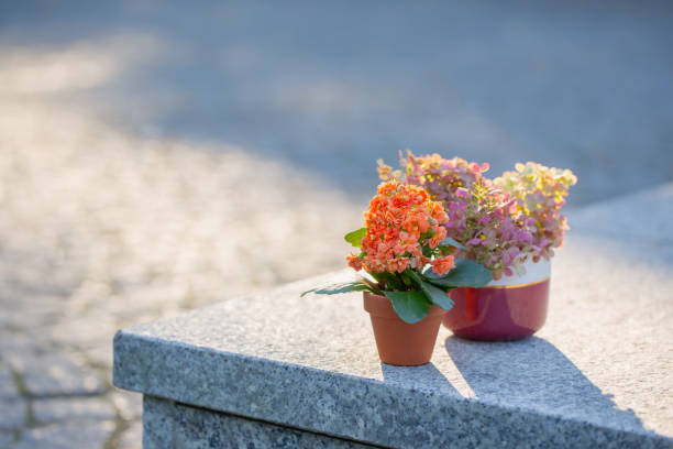grave of a loved one with violet flowers and inscription D.E.P. in the cemetery