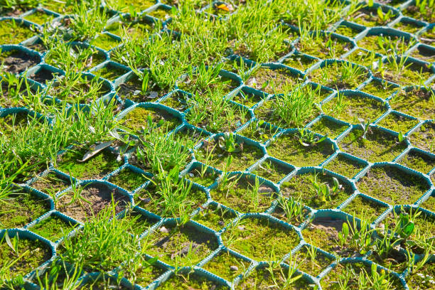 Paving stones or stepping stones with grass in between.