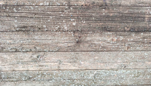 istock Old wood texture background. Floor surface, old wood planks 1990526161