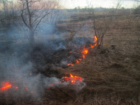 An evening blaze engulfs a field, with smoke rising against a dusky sky, highlighting the fiery spread through the dry grass