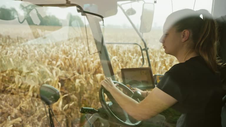 Side View of Young Female Farmer Operating Combine Harvester and Cutting Ripe Corn Plants in Field