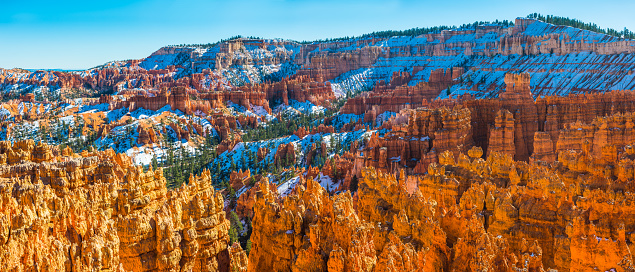 The golden sandstone hoodoo pinnacles of Bryce Canyon National Park glowing in the bright winter light amongst the snow dusted Ponderosa Pine forests of the Paunsaugunt Plateau, Utah, USA.