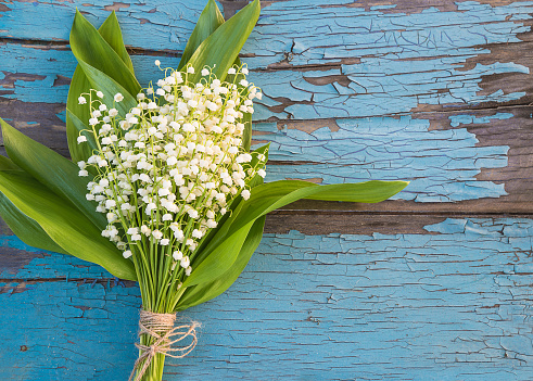 Closeup lily of the valley blossoms in selective focus, natural light. Delicate bouquet of lilies of the valley.