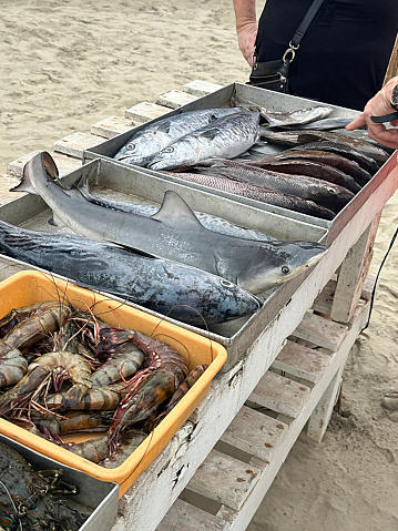 Stock photo showing close-up view of an outdoor, beach restaurant with metal trays full of whole fresh fish and prawns on ice.
